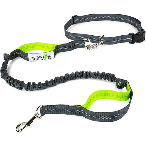 Choosing a Safe Durable Dog Leash Preventive Vet